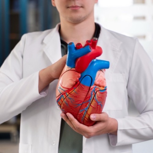 Heart Valve Replacement