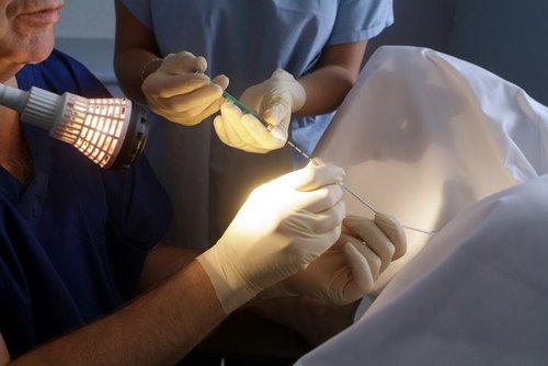 Embryo Transfer