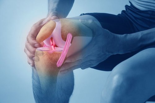 Meniscus Repair